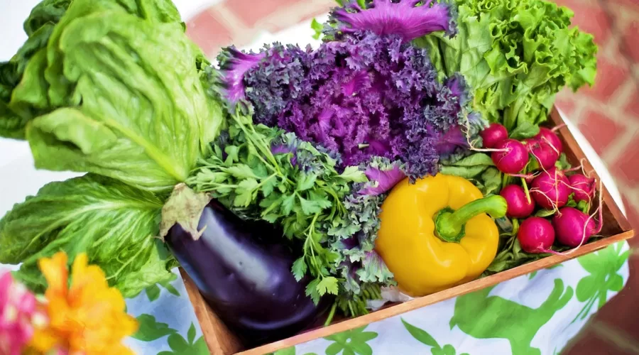 vegetables, garden, harvest